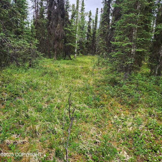 L3 Glacier Ave, Sterling, AK 99672 - photo 28