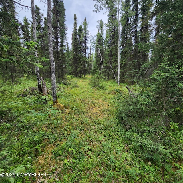 L3 Glacier Ave, Sterling, AK 99672 - photo 29
