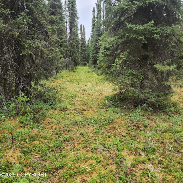 L3 Glacier Ave, Sterling, AK 99672 - photo 30