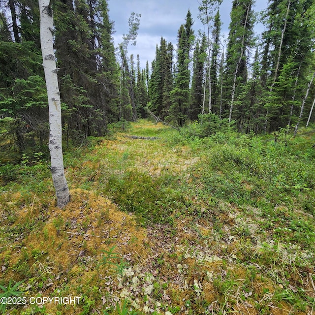 L3 Glacier Ave, Sterling, AK 99672 - photo 31