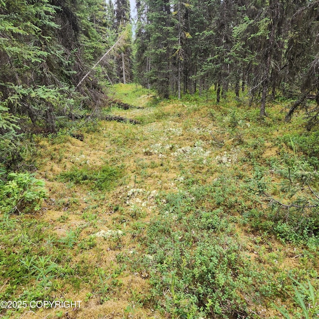 L3 Glacier Ave, Sterling, AK 99672 - photo 32