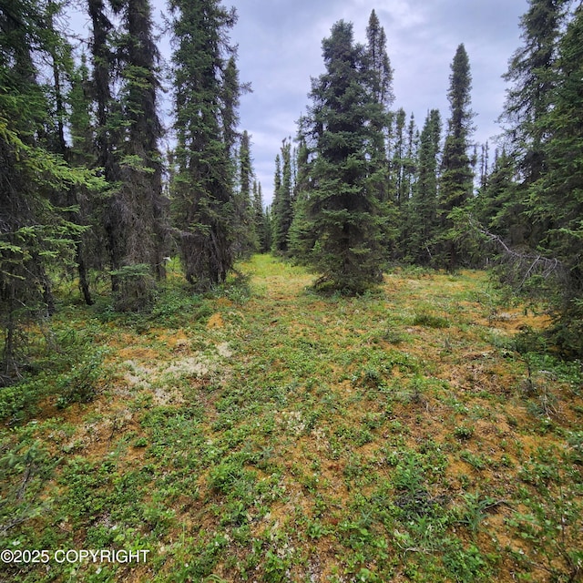L3 Glacier Ave, Sterling, AK 99672 - photo 33