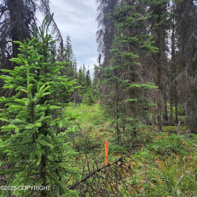 L3 Glacier Ave, Sterling, AK 99672 - photo 34