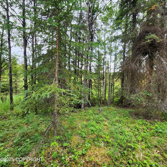 L3 Glacier Ave, Sterling, AK 99672 - photo 35
