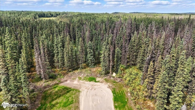 L3 Glacier Ave, Sterling, AK 99672 - photo 13
