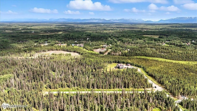 L3 Glacier Ave, Sterling, AK 99672 - photo 19