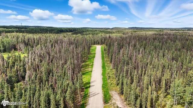 L3 Glacier Ave, Sterling, AK 99672 - photo 20