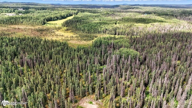 L3 Glacier Ave, Sterling, AK 99672 - photo 21