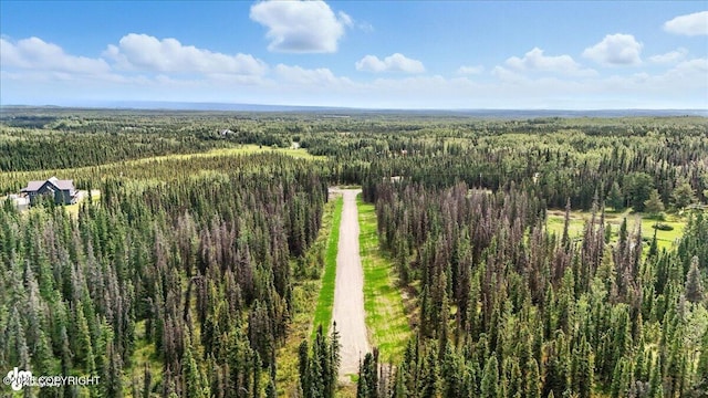 L3 Glacier Ave, Sterling, AK 99672 - photo 22