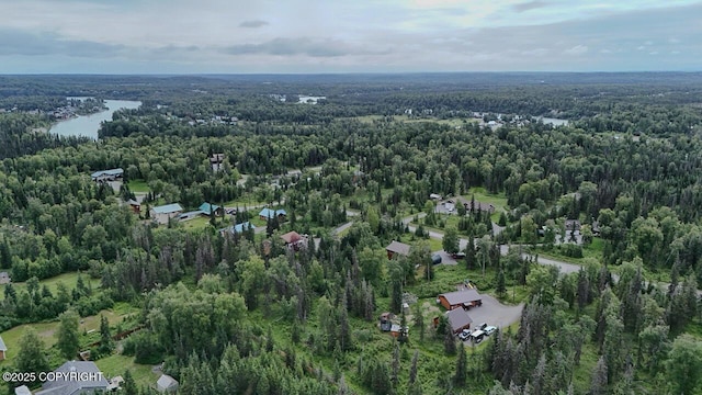 46738 Gary Ave, Kenai, AK 99611 - photo 61