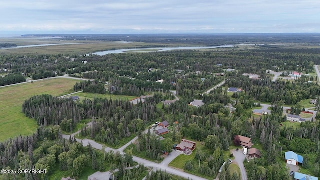 46738 Gary Ave, Kenai, AK 99611 - photo 58
