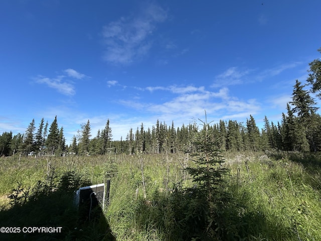 53766 Acys Ave, Kasilof, AK 99610 - photo 5