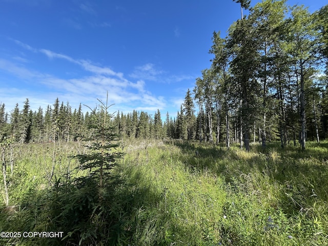 53766 Acys Ave, Kasilof, AK 99610 - photo 6