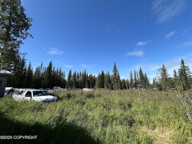 53766 Acys Ave, Kasilof, AK 99610 - photo 7