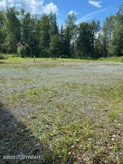 2160 S Leora Dr, Wasilla, AK 99623 - photo 5