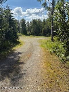 2160 S Leora Dr, Wasilla, AK 99623 - photo 3