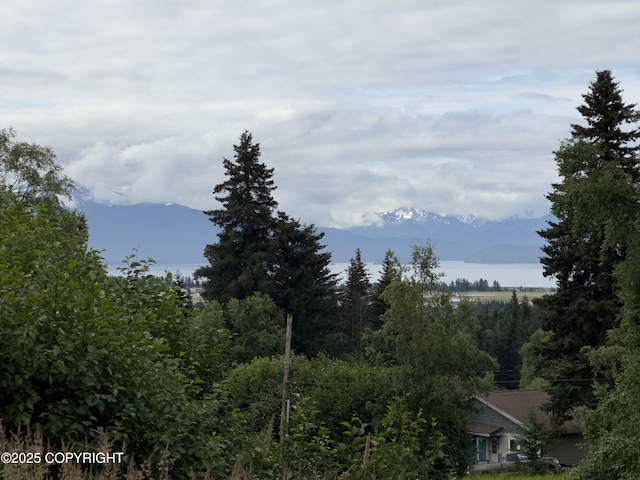 1980 Uminski Cir, Homer, AK 99603 - photo 34