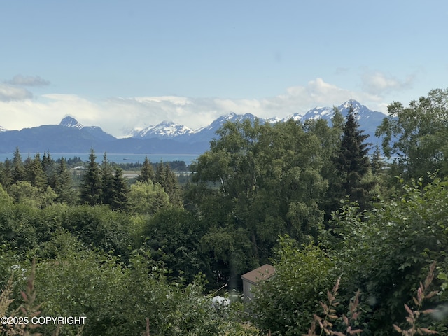 1980 Uminski Cir, Homer, AK 99603 - photo 36