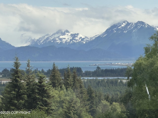 1980 Uminski Cir, Homer, AK 99603 - photo 37