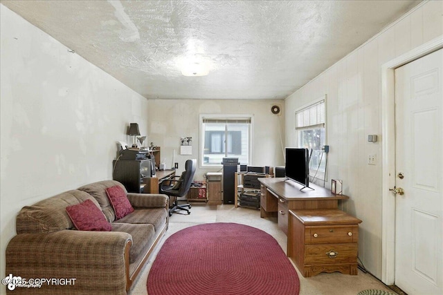 1806 Cleveland Ave, Anchorage, AK 99517 - photo 3