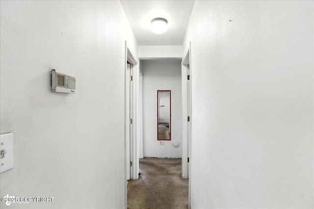 1806 Cleveland Ave, Anchorage, AK 99517 - photo 9