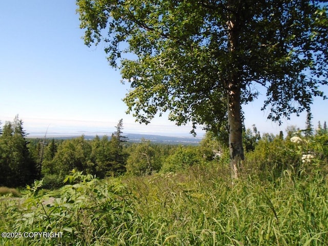 12801 Midori Dr, Anchorage, AK 99516 - photo 9