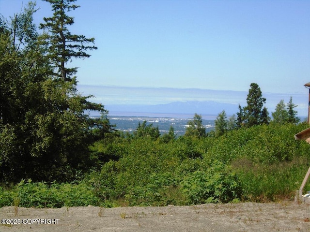 12801 Midori Dr, Anchorage, AK 99516 - photo 1