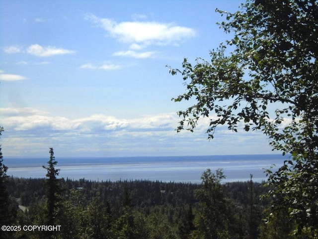 12801 Midori Dr, Anchorage, AK 99516 - photo 3