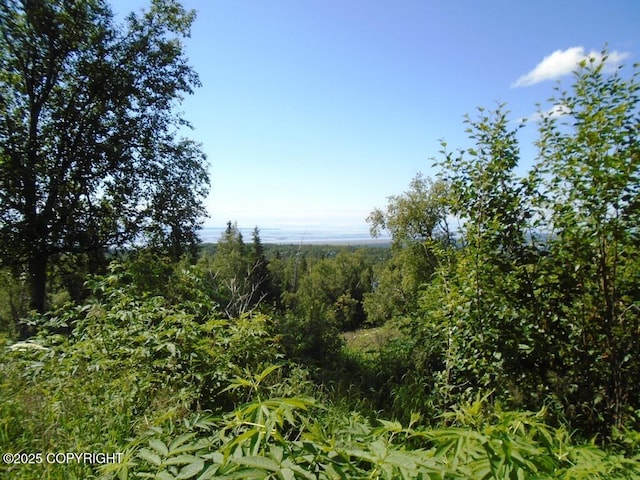 12801 Midori Dr, Anchorage, AK 99516 - photo 10