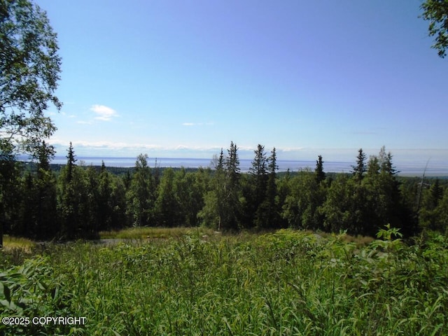 12801 Midori Dr, Anchorage, AK 99516 - photo 8
