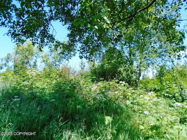12801 Midori Dr, Anchorage, AK 99516 - photo 13