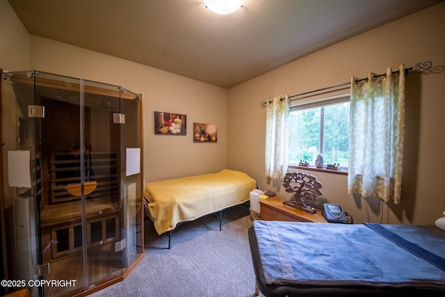 6330 N Britchenstrap Dr, Palmer, AK 99645 - photo 36
