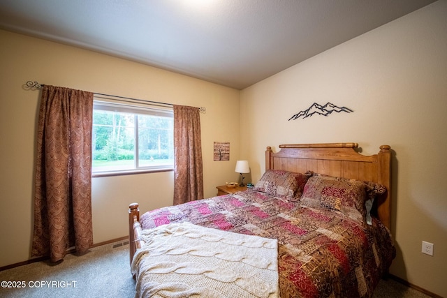 6330 N Britchenstrap Dr, Palmer, AK 99645 - photo 42