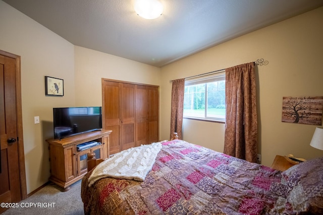 6330 N Britchenstrap Dr, Palmer, AK 99645 - photo 43