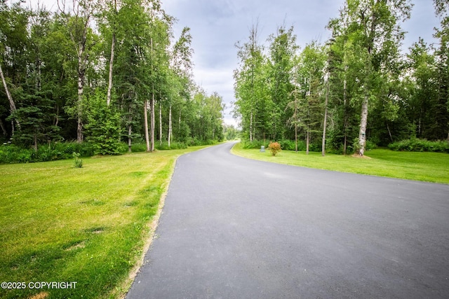 6330 N Britchenstrap Dr, Palmer, AK 99645 - photo 47