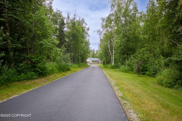 6330 N Britchenstrap Dr, Palmer, AK 99645 - photo 48