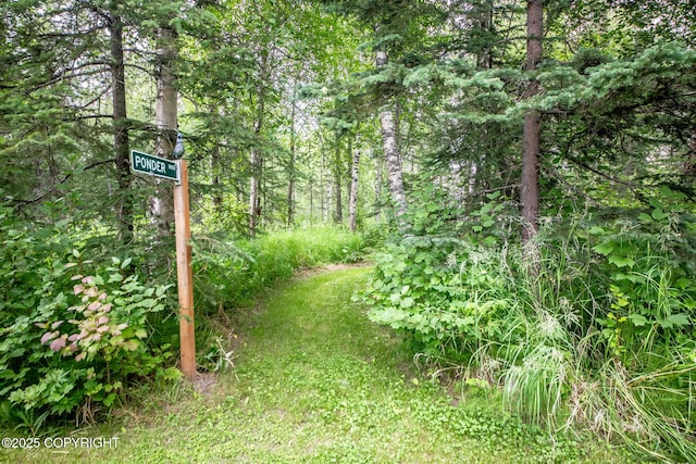 6330 N Britchenstrap Dr, Palmer, AK 99645 - photo 74