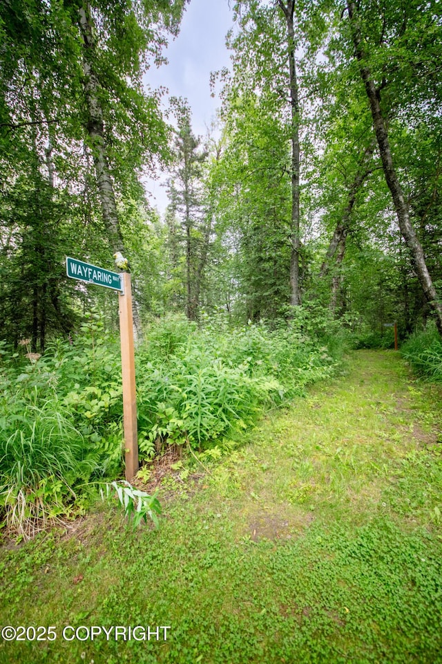 6330 N Britchenstrap Dr, Palmer, AK 99645 - photo 75