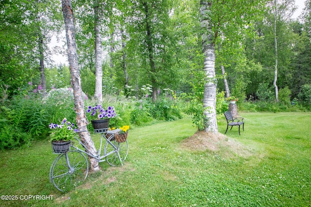 6330 N Britchenstrap Dr, Palmer, AK 99645 - photo 76
