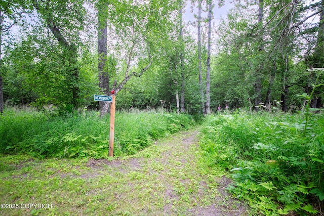 6330 N Britchenstrap Dr, Palmer, AK 99645 - photo 79
