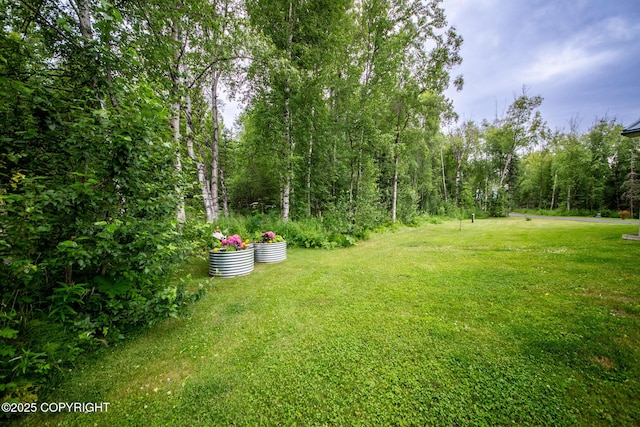 6330 N Britchenstrap Dr, Palmer, AK 99645 - photo 81