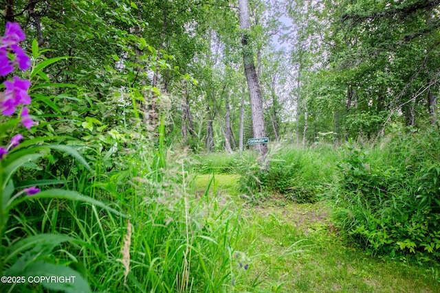 6330 N Britchenstrap Dr, Palmer, AK 99645 - photo 84