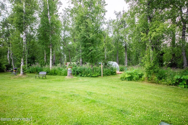6330 N Britchenstrap Dr, Palmer, AK 99645 - photo 85