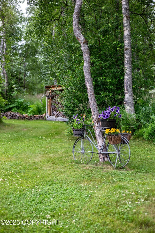 6330 N Britchenstrap Dr, Palmer, AK 99645 - photo 88
