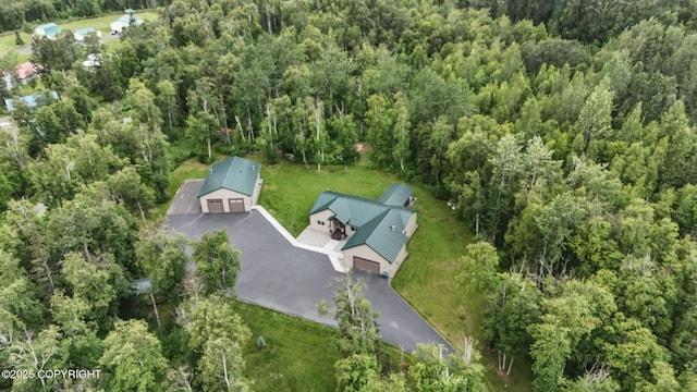 6330 N Britchenstrap Dr, Palmer, AK 99645 - photo 89