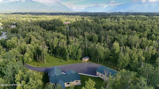 6330 N Britchenstrap Dr, Palmer, AK 99645 - photo 90