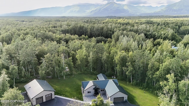 6330 N Britchenstrap Dr, Palmer, AK 99645 - photo 91