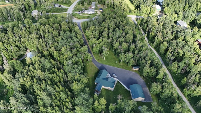 6330 N Britchenstrap Dr, Palmer, AK 99645 - photo 92