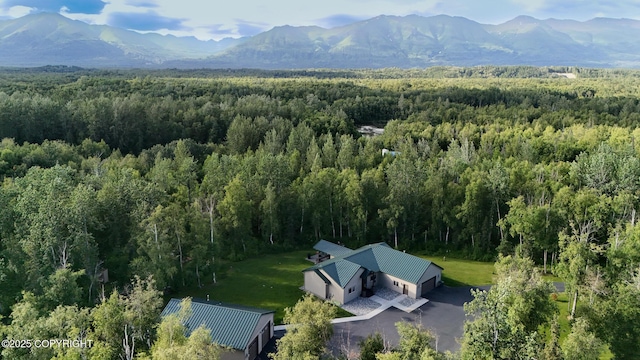 6330 N Britchenstrap Dr, Palmer, AK 99645 - photo 2