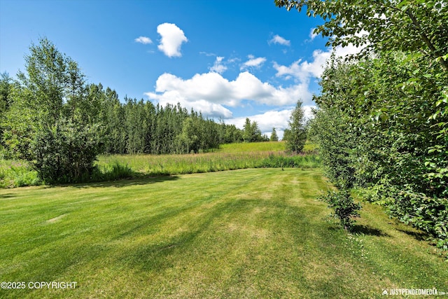 3755 E Baylor Cir, Wasilla, AK 99654 - photo 38